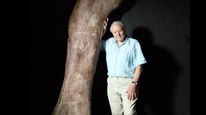 Prisma: Attenborough ja jättidinosaurus: 14.03.2018 06.00