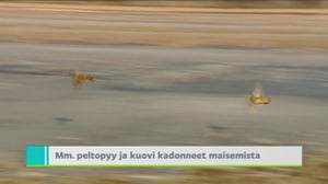 Yle Uutiset Uusimaa: Yle Uutiset Uusimaa 16-03-2018 klo 18-22: 16.03.2018 18.51