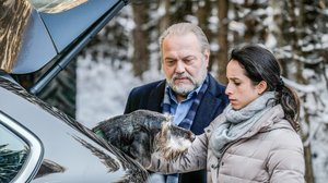 Kettu (12): 18.03.2018 19.30