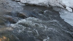 Luonto lähellä: Jäät lähtee 2: 22.03.2018 09.58