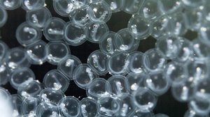 Tarinoita järviltä: 25.03.2018 13.55