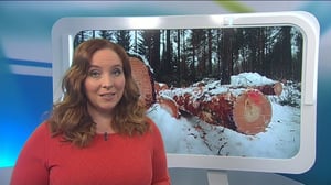 Yle Uutiset Uutis-Suomi: Yle Uutiset Uutis-Suomi 26-03-2018: 26.03.2018 19.00