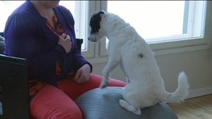 Yle Uutiset Kaakkois-Suomi: Yle Uutiset Kaakkois-Suomi 27-03-2018 Klo 17-06: 27.03.2018 16.34