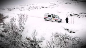 Lain pitkä koura: 29.03.2018 09.20