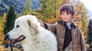 Belle ja Sebastian (7): 31.03.2018 15.25