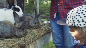 Freja, pikku tutkija (S): 01.04.2018 07.00