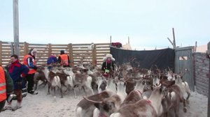 Norjaa ristiin rastiin: 01.04.2018 10.26