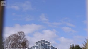 Yle Uutisluokka Triplet: Hyvän elämän tutkija: Jokainen on oman onnensa keskushyökkääjä: 03.04.2018 12.15