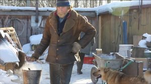 Yle Uutisluokka Triplet: Jalkapallon MM-kisat uhkaavat kulkukoirien henkeä Venäjällä: 05.04.2018 13.11