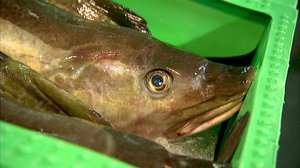 Kaikkea kaupan: 08.04.2018 10.32