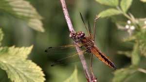 Tarinoita järviltä: 08.04.2018 14.25