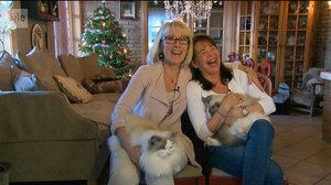 Mitä vain vuoksesi, lemmikkini (16): 11.04.2018 13.30