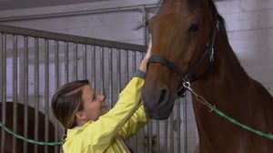 Uusi päivä (S): 13.04.2018 13.00