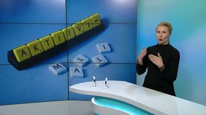 Yle Uutiset viittomakielellä: 12.04.2018 16.57