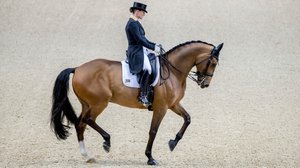 Ratsastuksen MC: Este- ja kouluratsastus: 14.04.2018 10.30