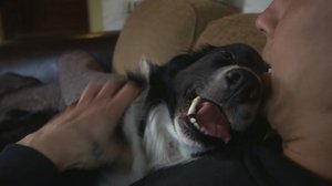 Norjaa ristiin rastiin: 14.04.2018 19.26