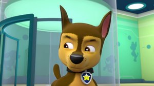 Ryhmä Hau (S): 15.04.2018 07.55