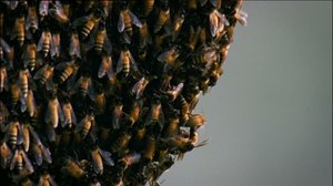 Ihmisen vaikutus planeettaamme: 17.04.2018 12.55