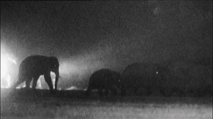 Ihmisen vaikutus planeettaamme: 19.04.2018 17.20