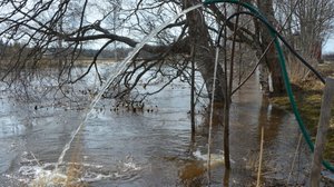 Lokalt live: Följ med översvämningsläget vid Kyro älv: 20.04.2018 09.36