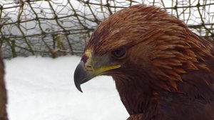 Norjaa ristiin rastiin: 21.04.2018 19.27