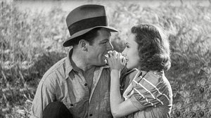 Kino: Jokapäiväinen leipämme (S): 22.04.2018 06.00