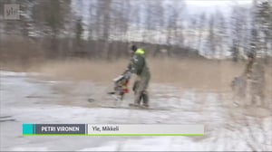 Yle Uutisluokka Triplet: Norpan pesälaskennoissa löytyi ennätysmäisen vähän kuolleita kuutteja: 22.04.2018 19.40