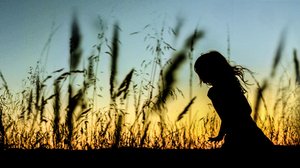 Tiededokumentti: Erityisherkät: 23.04.2018 15.01