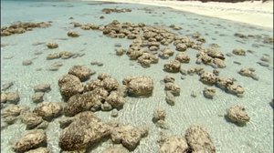 Läpileikkaus maapallosta: 24.04.2018 17.54