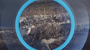 Oddasat: 25.04.2018 22.00