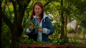 Puutarhaperjantai: 27.04.2018 10.00