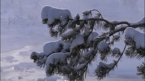 Läpileikkaus maapallosta: 27.04.2018 17.55