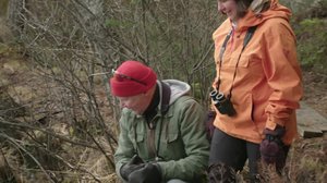 Ulos luontoon Kevätseuranta: 29.04.2018 00.01