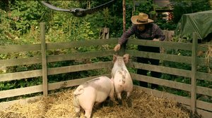 Herra Heinämäki (S): 30.04.2018 12.09