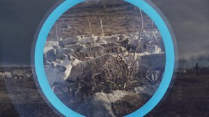 Oddasat: 30.04.2018 22.00