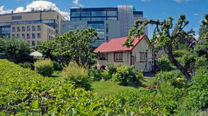 Dok: Suosta puutarhaparatiisiksi: 04.05.2018 00.01