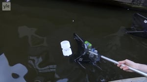 Yle Uutisluokka Triplet: Hollannissa vedotaan kuluttajiin, jotta muovin käyttö vähenisi: 03.05.2018 10.17