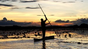 Avara luonto: Myyttinen Kongo: 05.05.2018 18.45