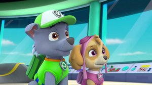 Ryhmä Hau (S): 06.05.2018 08.08