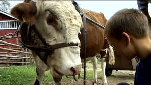 Neljä nenää: 07.05.2018 07.20