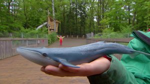 Tarinoita maailmalta: Valas: 08.05.2018 18.00