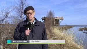 Yle Uutisluokka Triplet: Liminganlahti on lintubongarin unelmapaikka: 08.05.2018 10.52