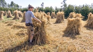 Tanskalainen maajussi: 08.05.2018 13.00