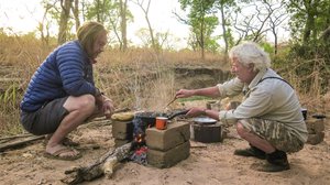 Riistametsällä: 11.05.2018 13.35