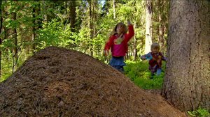 Mikkel ja Klara (S): 08.05.2018 18.00