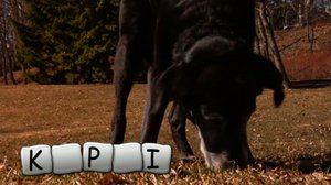 Herra Nokkelo (S): 16.05.2018 02.00