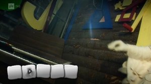 Herra Nokkelo (S): 16.05.2018 02.30