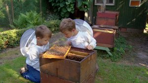 Tarinoita maailmalta: Mehiläinen: 15.05.2018 18.00