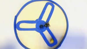 Jalkapalloilevat kimalaiset hämmästyttävät maailmalla : 15.05.2018 10.18