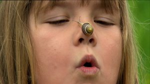 Mikkel ja Klara (S): 15.05.2018 18.00